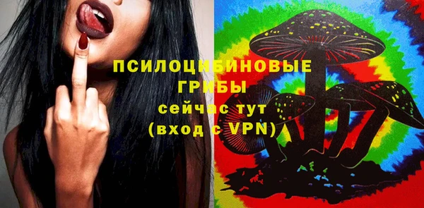 бошки Абинск