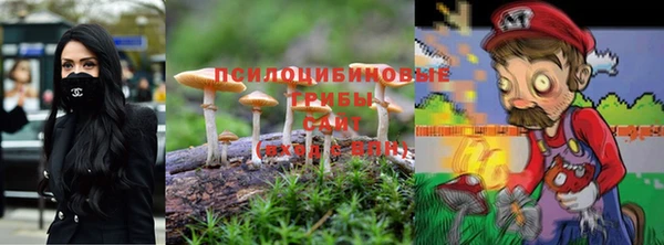 бошки Абинск