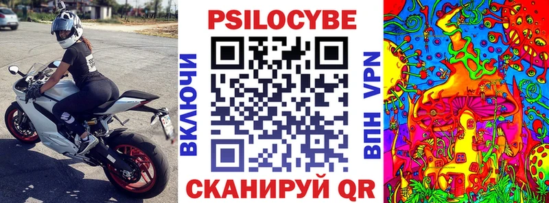 Галлюциногенные грибы Psilocybe  Партизанск 